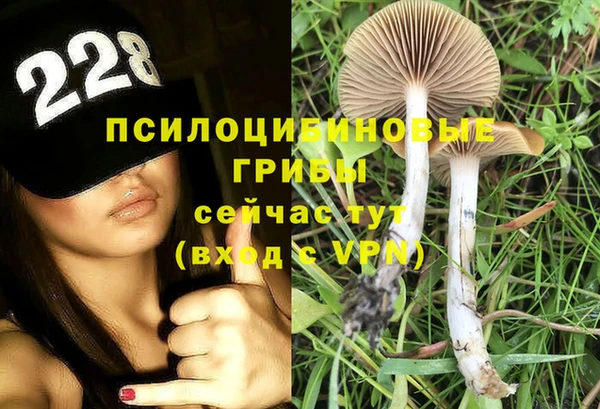 соль ск Аркадак