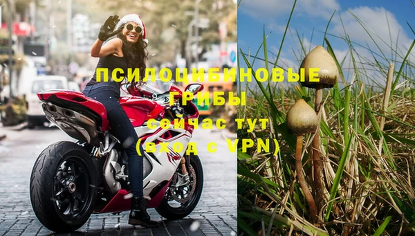 соль ск Аркадак